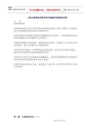 山西太原鸿金宝商业项目(服装商业中心)规划及招商方案
