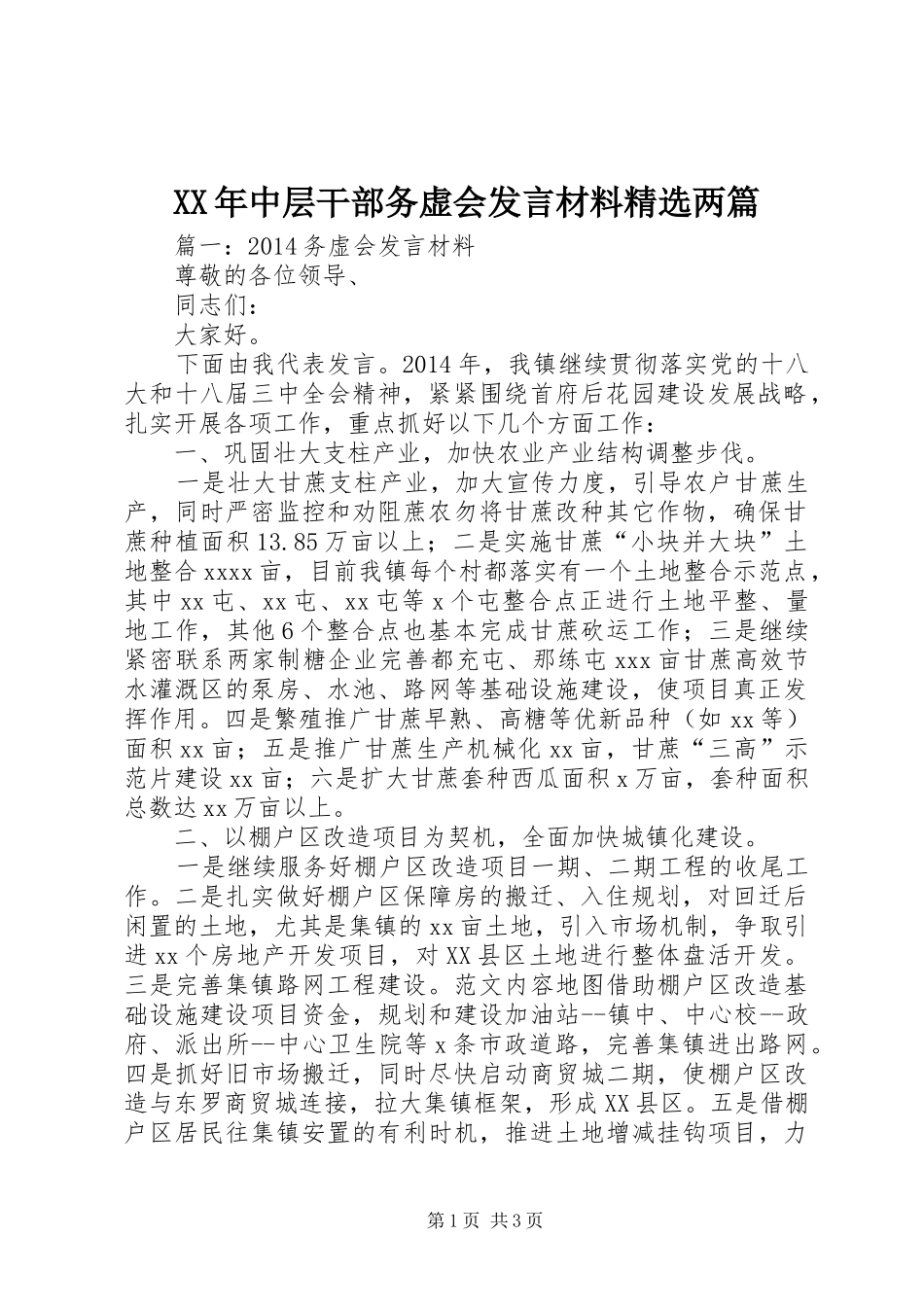 XX年中层干部务虚会发言材料提纲精选两篇_第1页