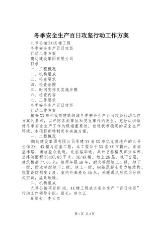 冬季安全生产百日攻坚行动工作方案