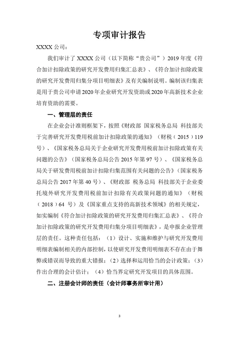 2.2019年度研发费用专项审计报告模板_第3页