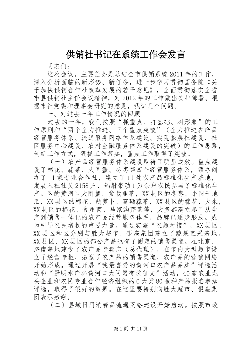供销社书记在系统工作会发言稿_第1页