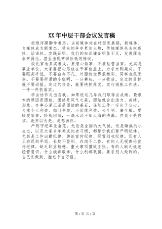 XX年中层干部会议发言