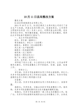 10月11日县局整改方案