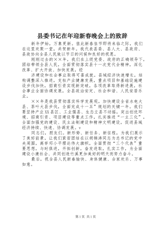 县委书记在年迎新春晚会上的演讲致辞范文