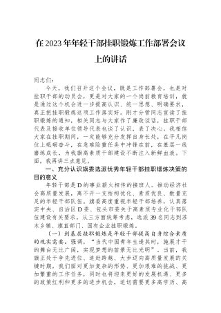 在2023年年轻干部挂职锻炼工作部署会议上的讲话