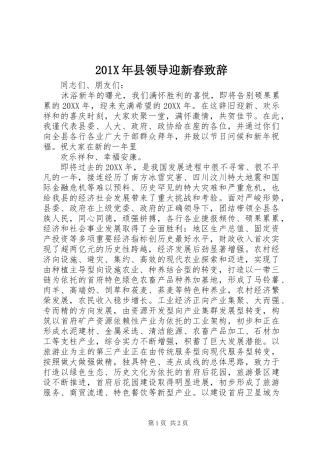 201X年县领导迎新春演讲致辞