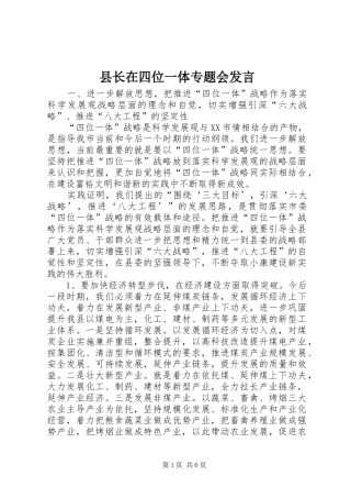 县长在四位一体专题会发言稿