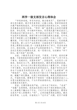 两学一做支部发言稿心得体会