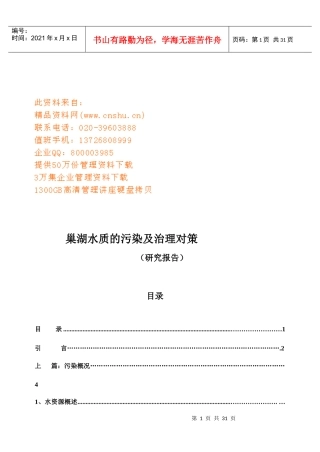 巢湖水质的污染及治理建议书