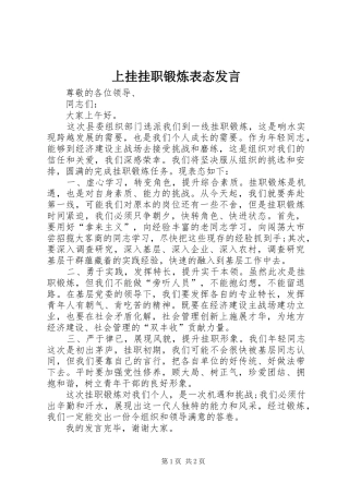 上挂挂职锻炼表态发言稿