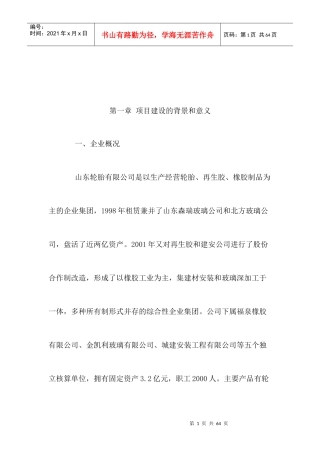 山东轮胎有限公司年产30万套全钢载重子午胎项目建议书