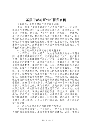 基层干部树正气汇报发言