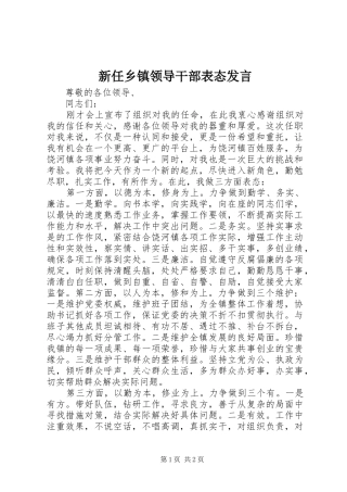 新任乡镇领导干部表态发言稿