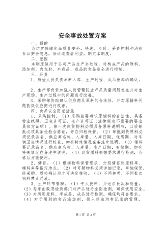 安全事故处置方案
