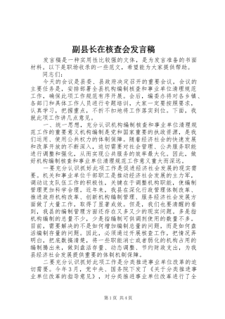 副县长在核查会发言
