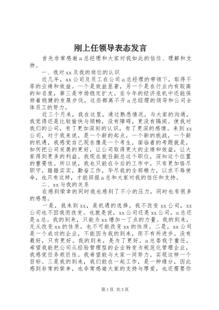 刚上任领导表态发言稿