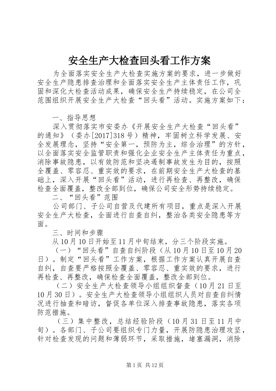 安全生产大检查回头看工作方案_第1页