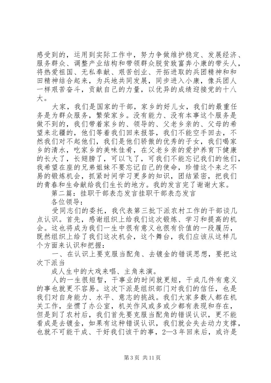 挂职干部专题培训发言稿_第3页