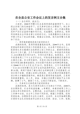 在全县公安工作会议上的发言稿例文合集