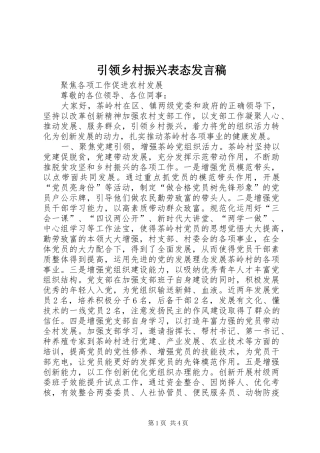 引领乡村振兴表态发言