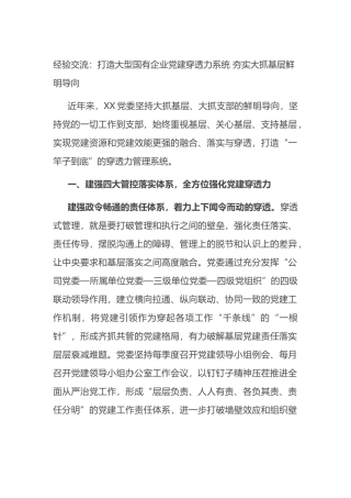 经验交流：打造大型国有企业党建穿透力系统 夯实大抓基层鲜明导向