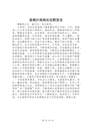 县统计局局长任职发言稿