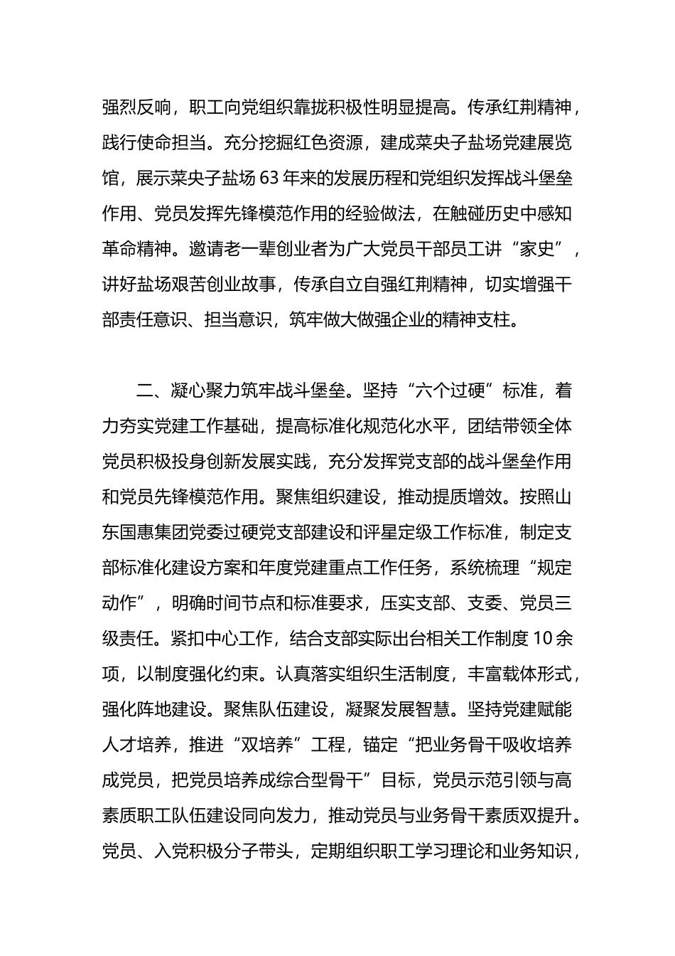 经验交流：党建引领风帆劲 擎旗奋进业绩新_第2页