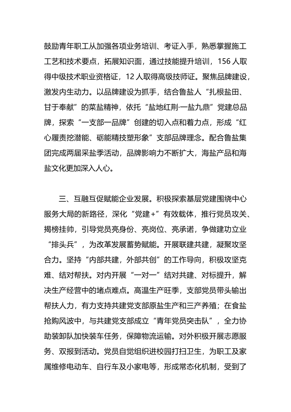 经验交流：党建引领风帆劲 擎旗奋进业绩新_第3页