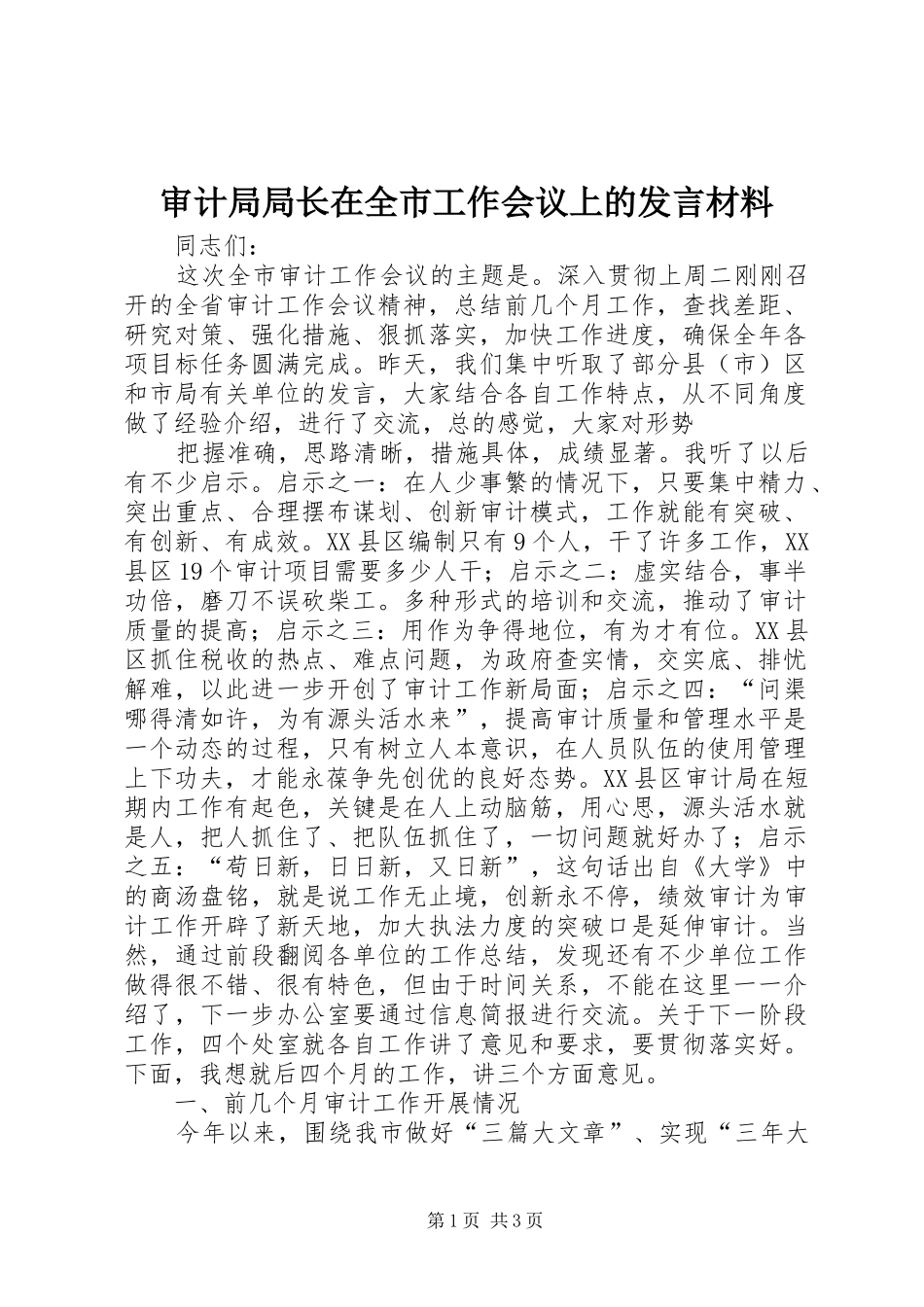 审计局局长在全市工作会议上的发言材料提纲_第1页