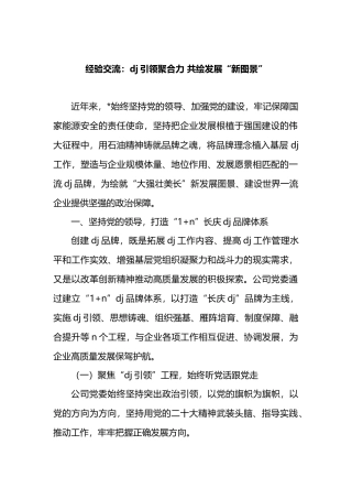 经验交流：党建引领聚合力 共绘发展“新图景”