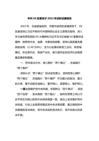 中共XX区委班子2023年述职述廉报告
