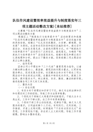 队伍作风建设暨效率效益提升与制度落实年三项主题活动整改方案)[本站推荐]