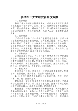 供销社三大主题教育整改方案