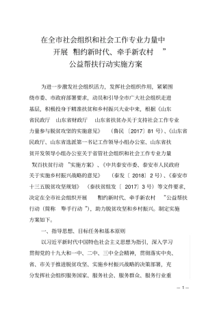 在全社会组织和社会工作专业力量中