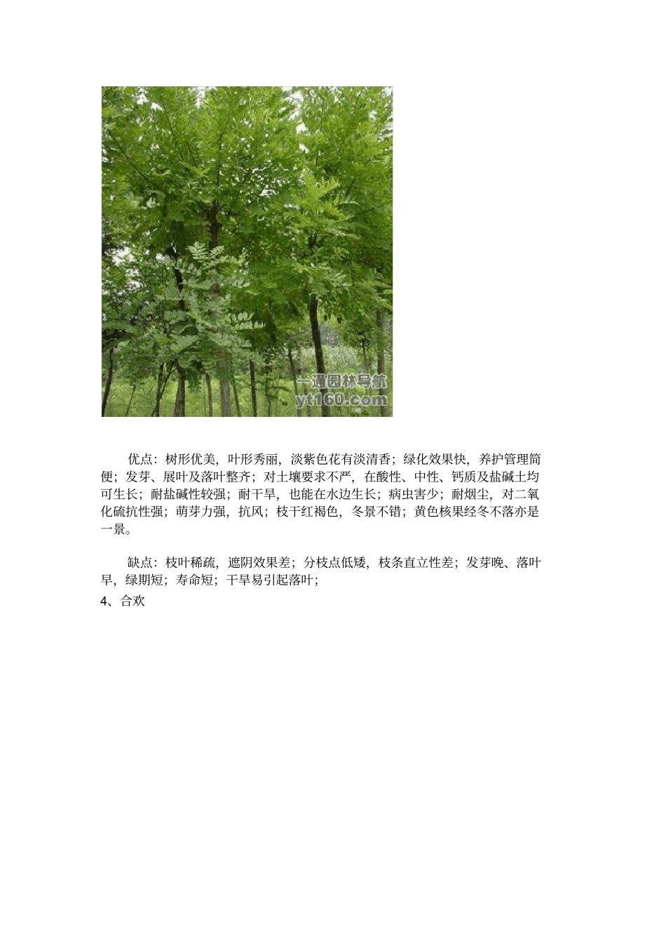 我国北方地区常见十大行道树简介_第3页