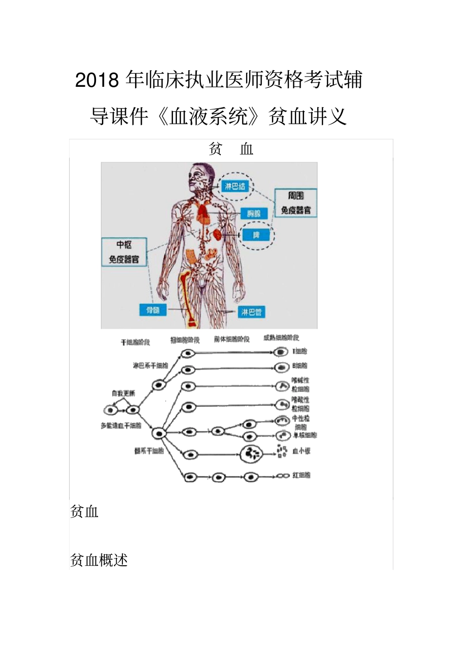 2018年临床执业医师资格考试辅导课件《血液系统》贫血讲义_第1页