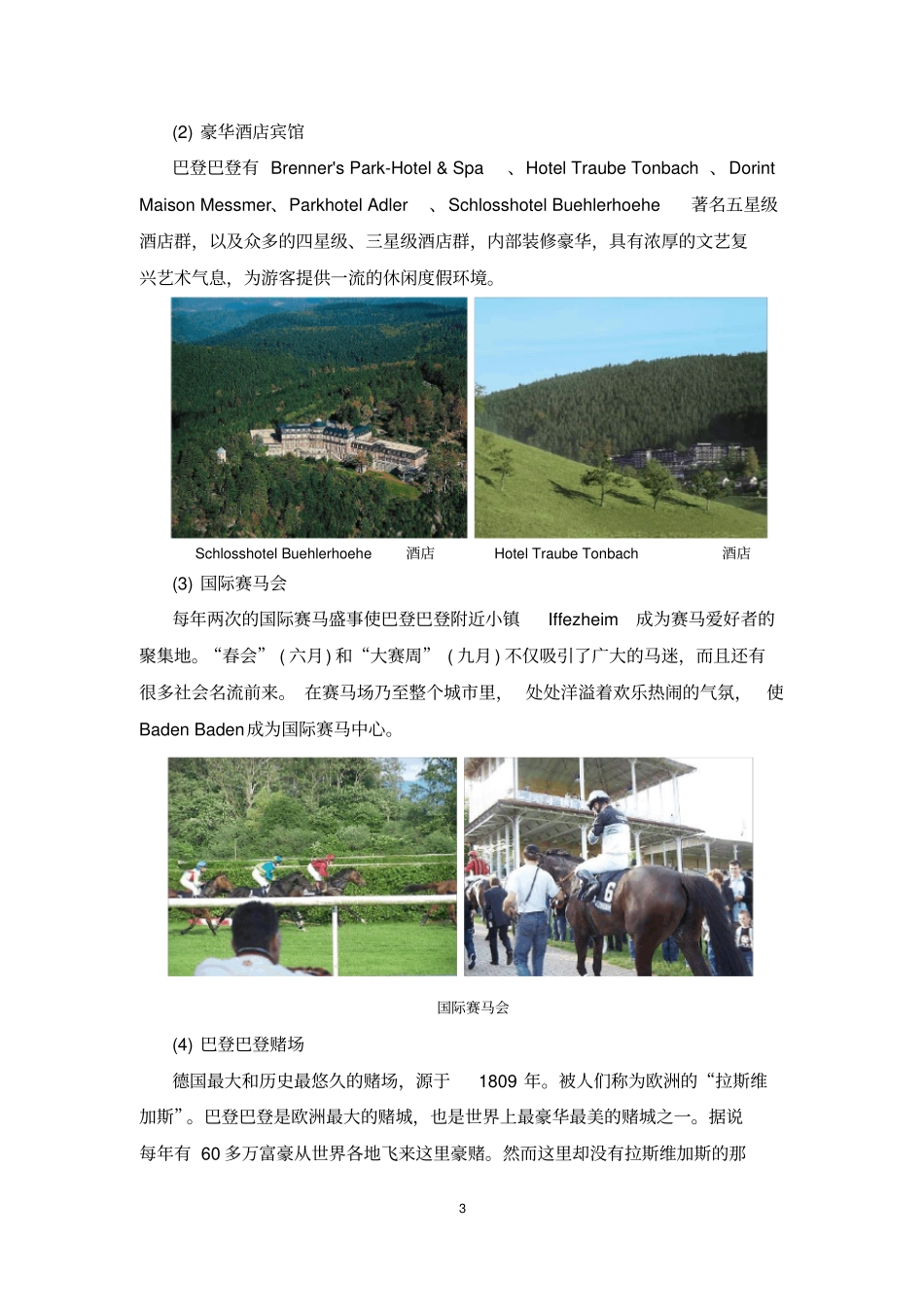 (完整版)森林温泉专题分析_第3页