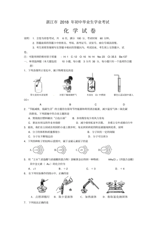 2018年湛江市中考化学试卷及答案