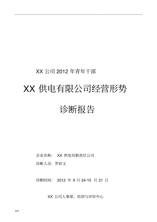 企业经营诊断报告-定稿.