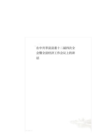 在中共莘县县委十二届四次全会暨全县经济工作会议上的讲话