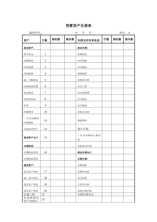 山谷蓝&泰科曼贸易公司预算资产负债表
