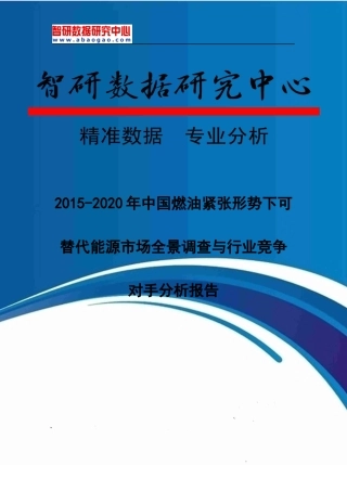 市场全景调查与行业竞争对手分析报告