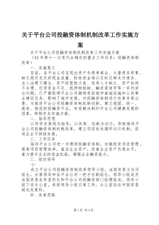 关于平台公司投融资体制机制改革工作实施方案