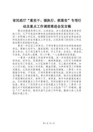 省民政厅“重实干、强执行、抓落实”专项行动及重点工作调度推进会发言