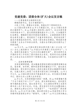党建党委：团委全体(扩大)会议发言