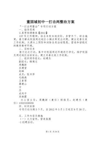 董固城初中一打击两整治方案