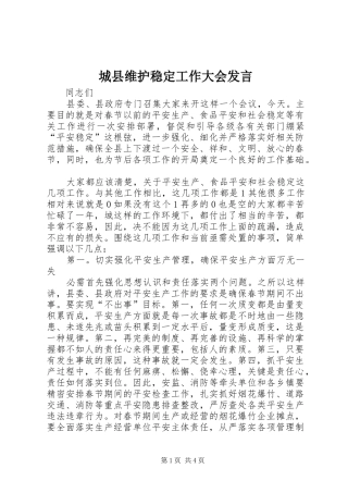 城县维护稳定工作大会发言稿