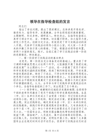 领导在指导检查组的发言稿