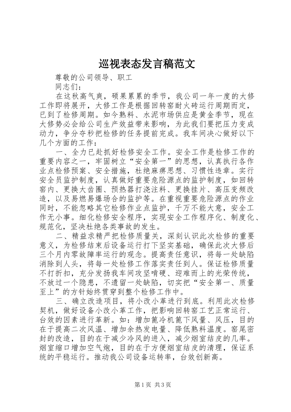 巡视表态发言范文_第1页