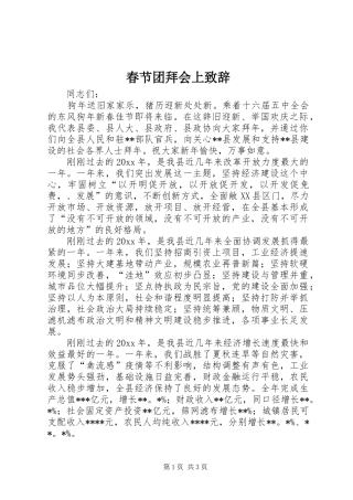 春节团拜会上演讲致辞